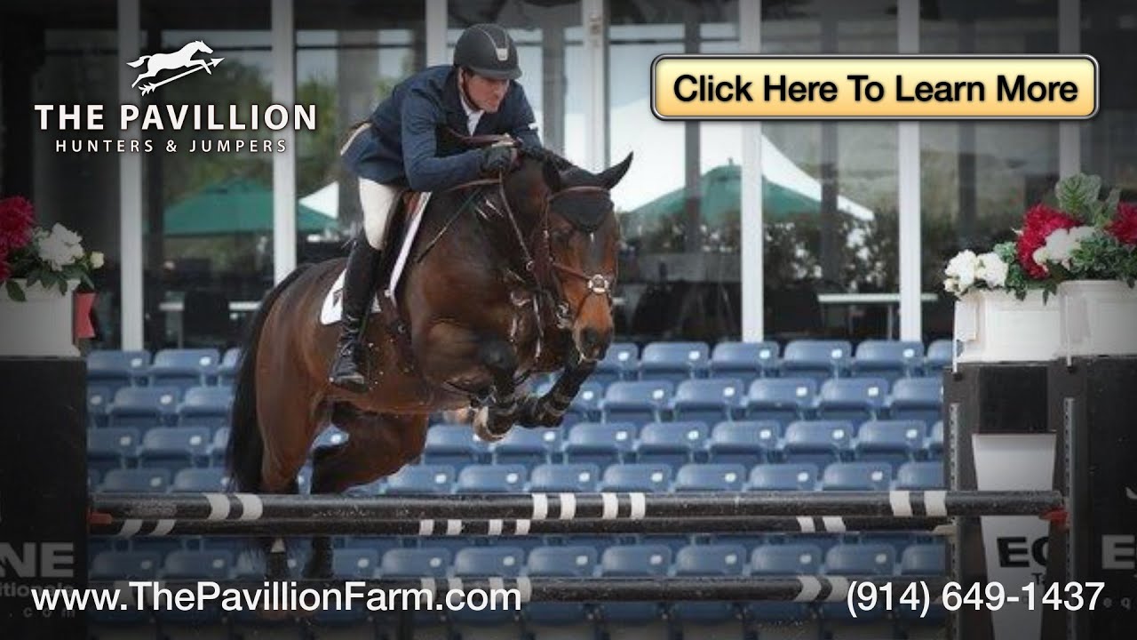 Hunter Jumper Horse Trainer North Salem Westchester NY The