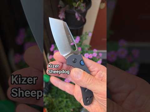    Kizer Sheepdog