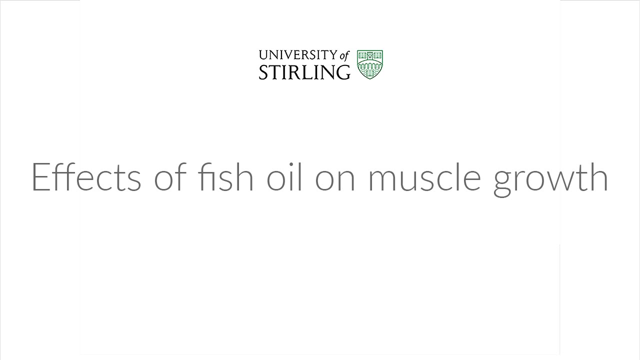 Effects Of Fish Oil On Muscle Growth W/ Professor Kevin Tipton