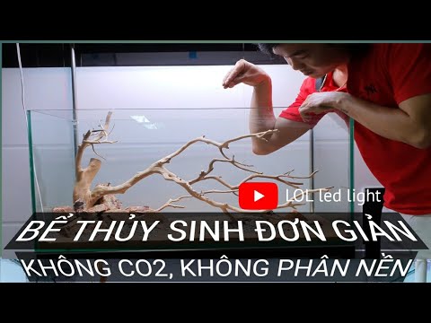 Video SETUP HỒ THỦY SINH ĐƠN GIẢN - KHÔNG CO2 - KHÔNG PHÂN... - youtube