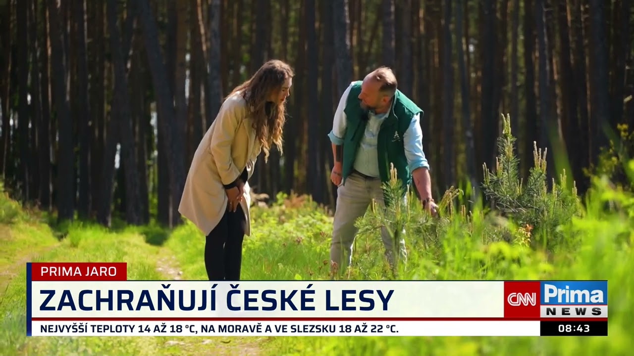 Wood Seeds Prima rok | Každý zasazený strom má smysl. Wood Seeds obnovuje české lesy