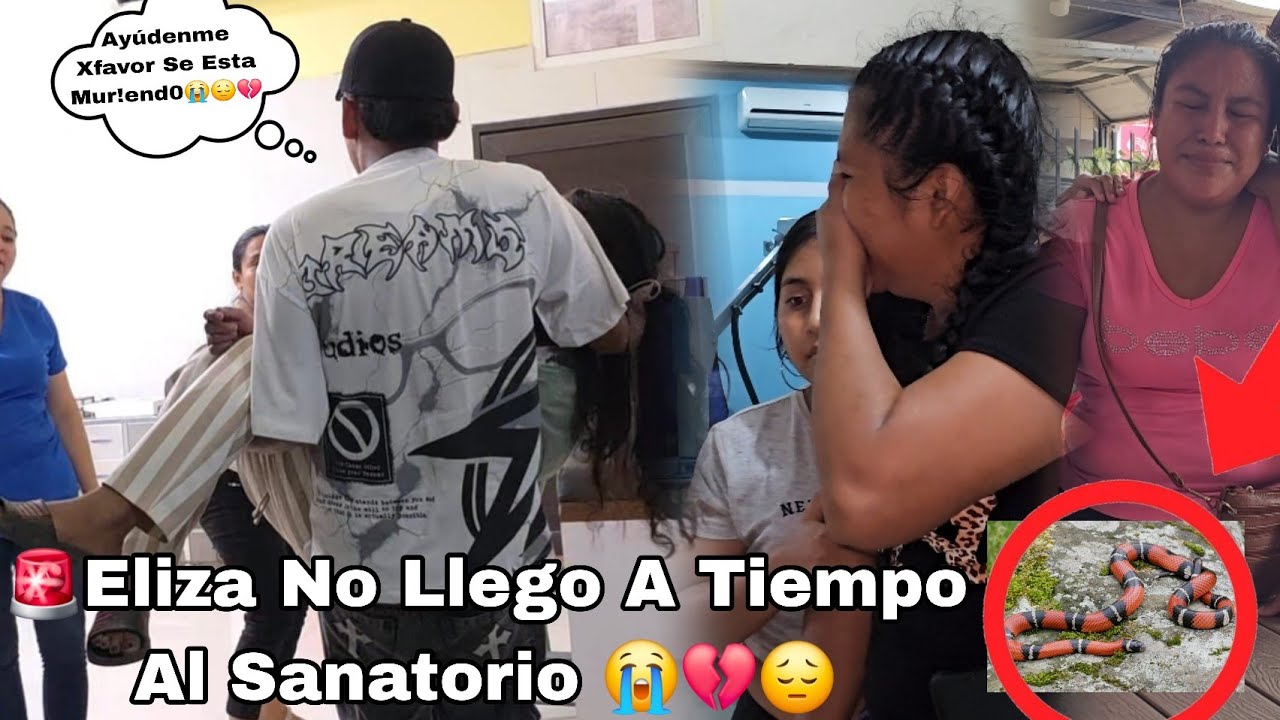  😭Por Culpa De Esta Maldit4 S3rpiente 🐍Eliza No Sobrevivirá 😭😔💔