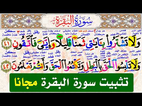 تثبيت أول ربعين من سورة البقرة مباشر تعال احفظ وسمع فارس عنتر تثبيت أول ربعين من سورة البقرة مباشر تعال احفظ وسمع فارس عنتر