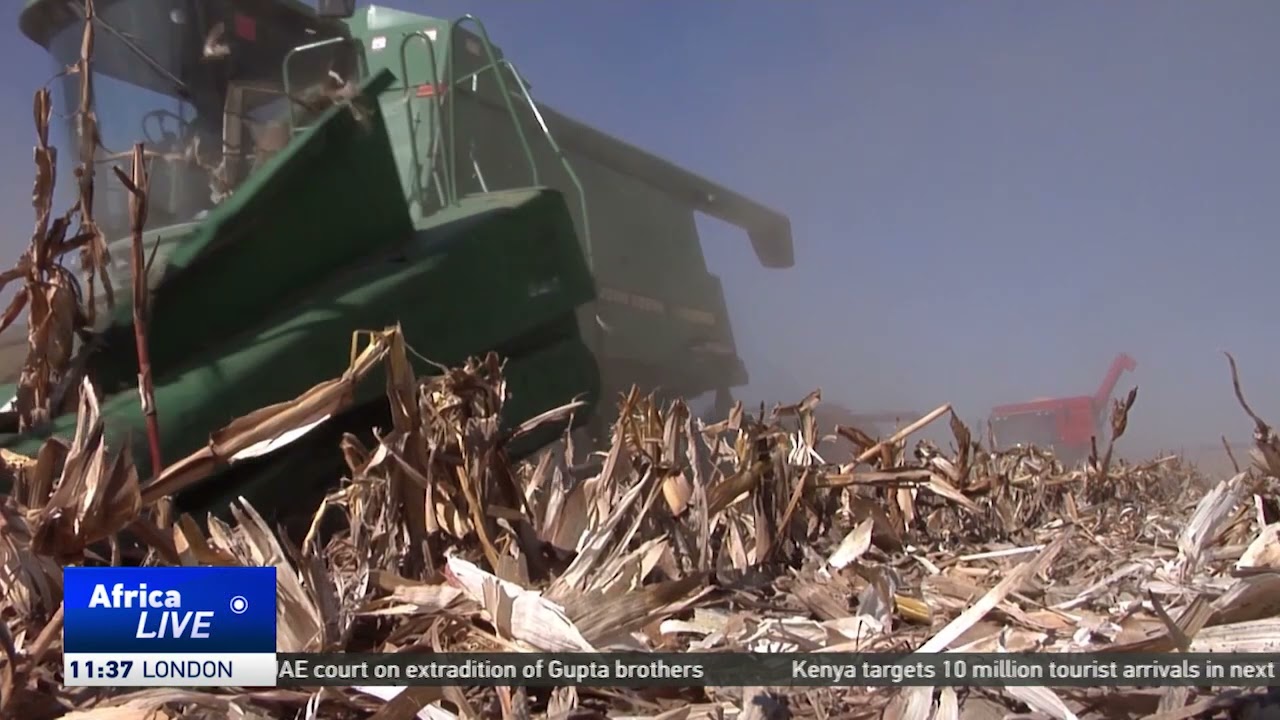 Still from Adequate rainfall, contingency plans avert food crisis in South Africa