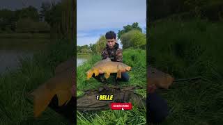 belle carpe #carpe #carpfishing #fishing #aventurepêche