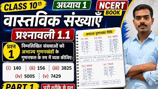 कक्षा 10 गणित | वास्तविक संख्याएँ | प्रश्नावली 1.1 प्रश्न 1 का सम्पूर्ण हल NCERT Book Part-1