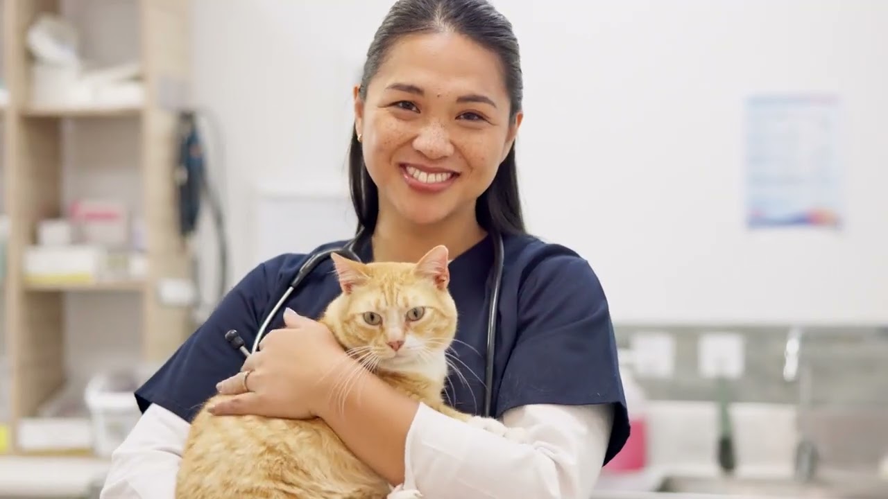 VIDEO INSTITUCIONAL EQUALIS VET