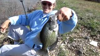 Bobby Garland 2.5" Scent Wigglers - Jig Hopping for Spring Crappie