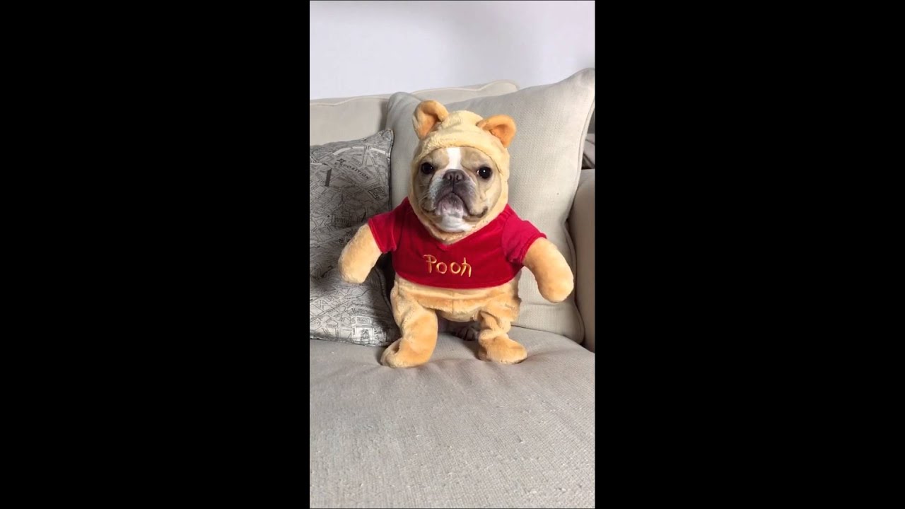 Winnie The Pooh Vibes