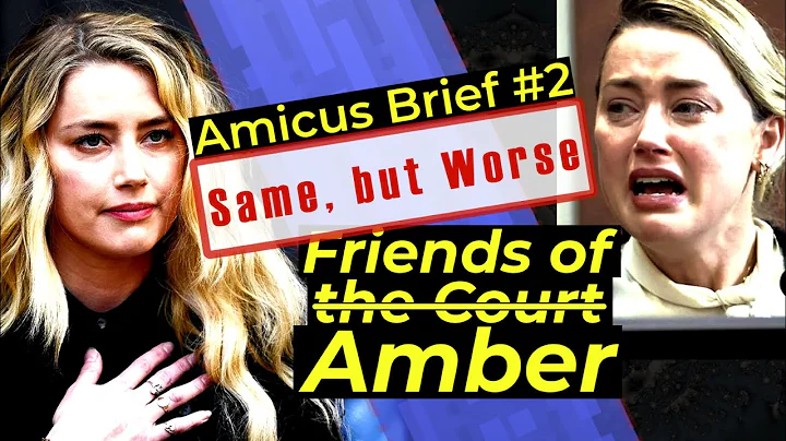 Friends of Amber Heard - #2 Amicus Curiae brief adds nothing - Depp v. Heard Attorney analysis