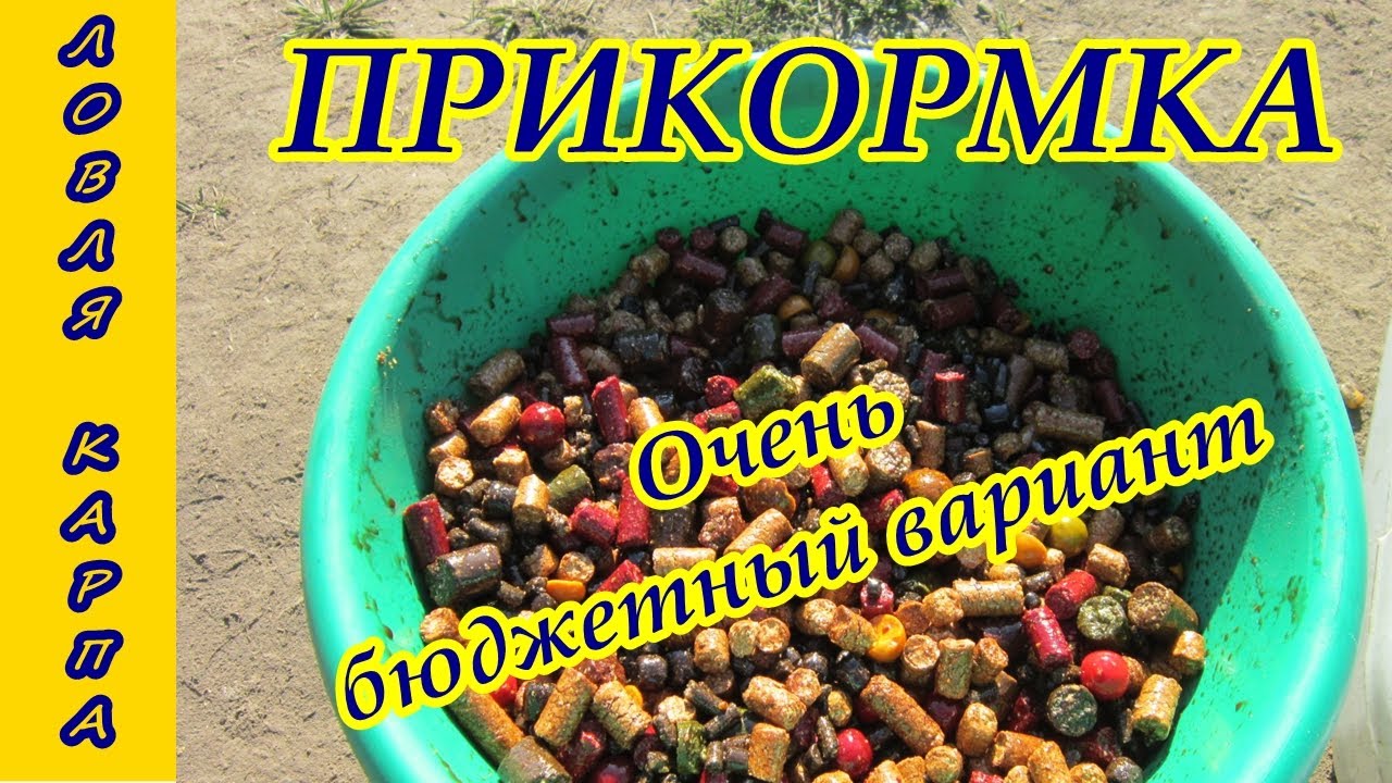 Ловля карпа Прикормка Очень бюджетный вариант - YouTube