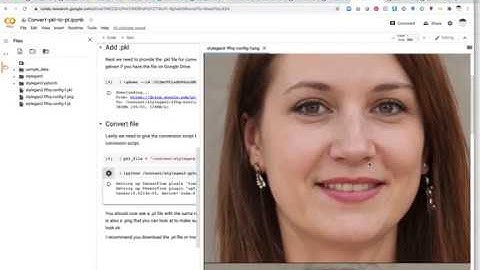Convert Tensorflow StyleGAN2 model .pkl files to PyTorch .pt files