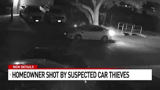Homeowner shot by car thieves