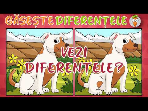 Poți găsi toate diferențele? 🔎 | Provocare în 3 runde | Episodul 4