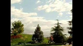 Teletubbies - The Lion And Bear (Original Sketch)