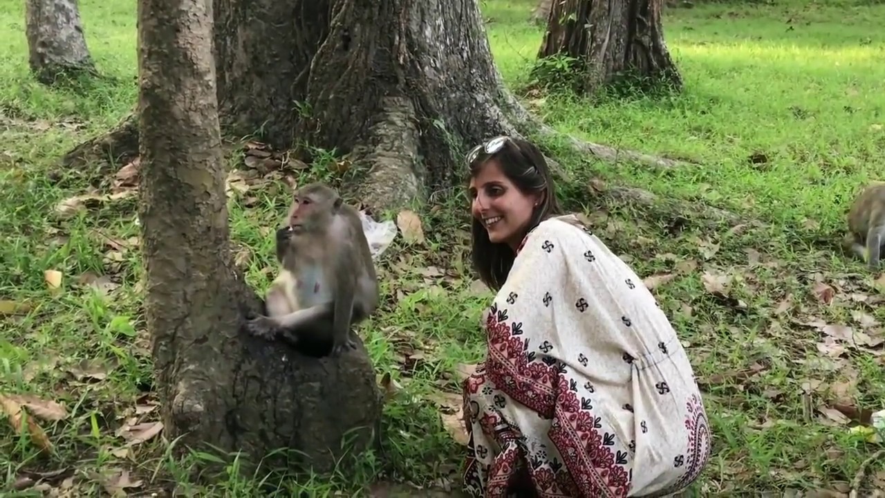 Tourist Girl Attack With Monkey At Bayon Temple - Funny Monkey Meeting 2017