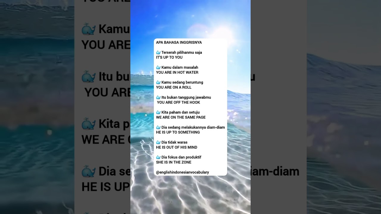 🐳 APA BAHASA INGGRISNYA 🐳