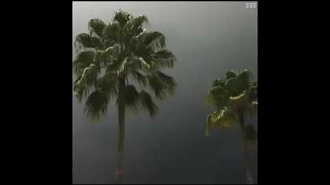 SUICIDE BOYS x POUYA - RUNNING THROUGH THE 7TH WITH MY WOADIES