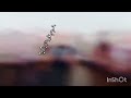هلا هلابك ياهلا جبلنا عمد الشوف ياعيال بني معروف دحية هلا هلابك ياهلا جبلنا عمد الشوف ياعيال بني معروف دحية