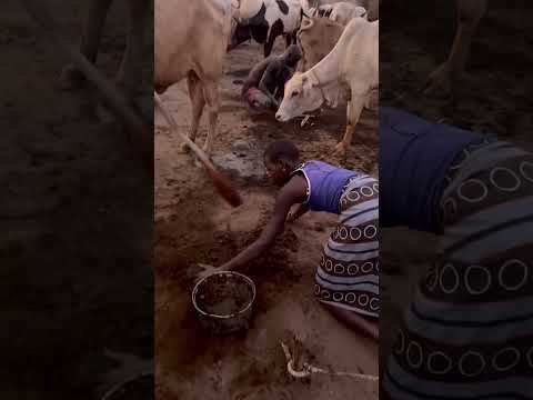 ЮЖНЫЙ СУДАН 🇸🇸 Так мундари живут всю свою жизнь. При этом чувствуют себя счастливыми
