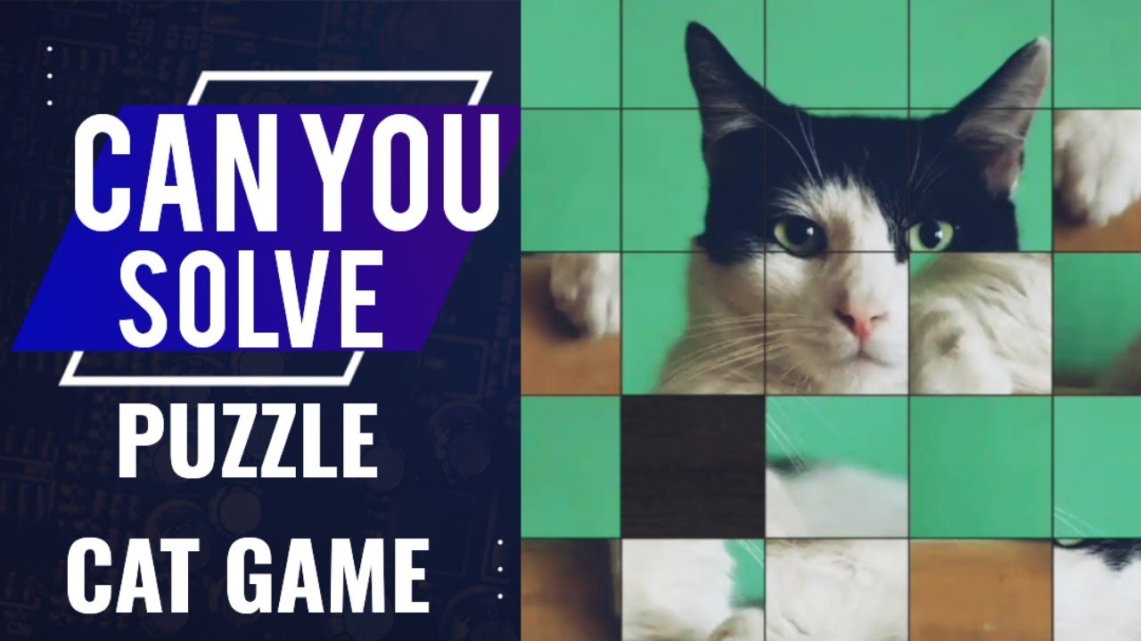 Can you solve puzzle cat game || How to solve cats puzzle (5×5 ...