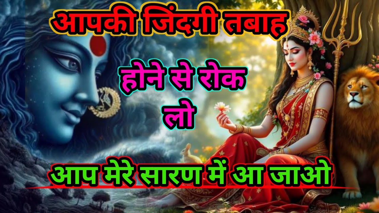 Stop your life from being ruined, come to my shelter.