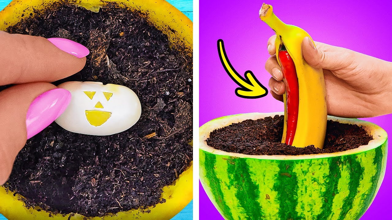 SMART HACKS TO REGROW EVERYTHING | How to build your own indoor jungle ...