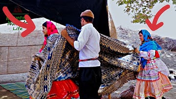 A Day in the Life of Iranian Nomads: Sweeping and Spreading the Rug in the Black Tent #village#tent