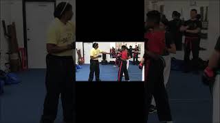 Bruce Lee's Jeet Kune Do Dynamic Duo: Jun Fan Kickboxing Training (shorts)