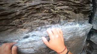 first whipper at frenchman coulee