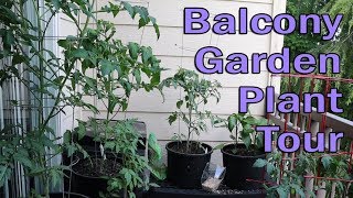 Plant Tour (Fun Video)