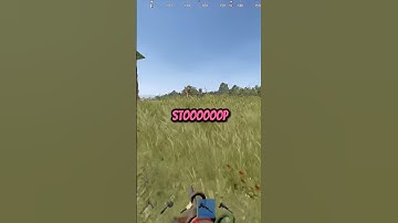 You won’t believe what these kids were doing!#rust #funny #shorts