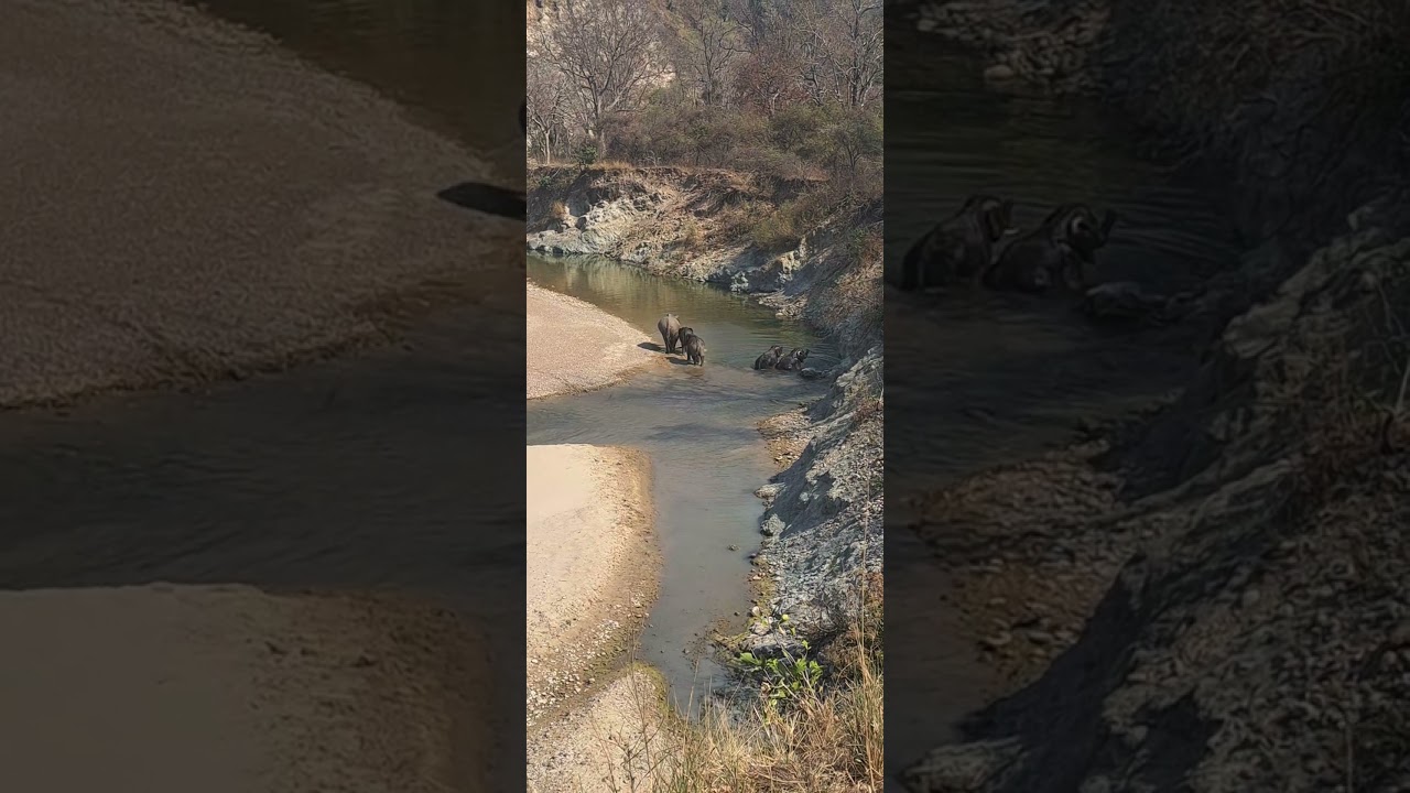 Fun Time! @CorbettDiaries 