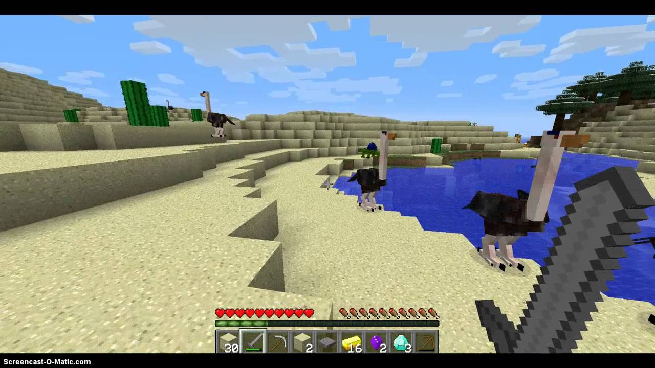 Zombieslaying Quest!-Episode 1- A New Begining