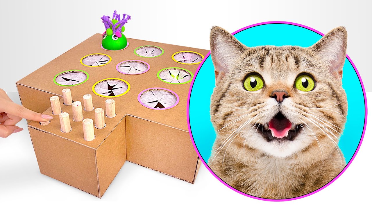 LIVE: How To Make Amazing Crafts For Cats, Dogs, And Hamsters 🐈🐶🐹 