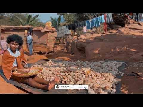 AFRICAN CORN VILLAGE ART 