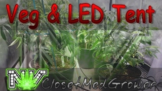 Veg and LED tents 2/5/2017