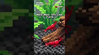 Cherry shrimp game. Neo Caradina #aquarium #shrimp #gaming #8bit #retrogaming #ai #aivideo