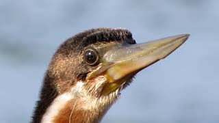 Wilderness Lakes - Ramsar Wetland In Western Cape