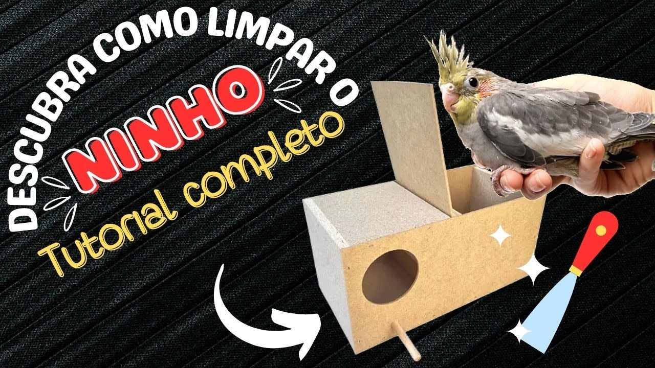 Quando e como LIMPAR o NINHO da CALOPSITA durante a reprodução ...