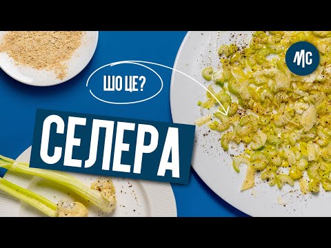 ЩО ЦЕ? СЕЛЕРА |  корисні страви з селери |  ЧТО ЭТО? СЕЛЬДЕРЕЙ | полезные блюда из сельдерея