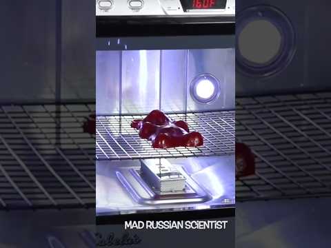 I Left A Giant Gummy Bear In Dehydrator For 7 Days! Part 1