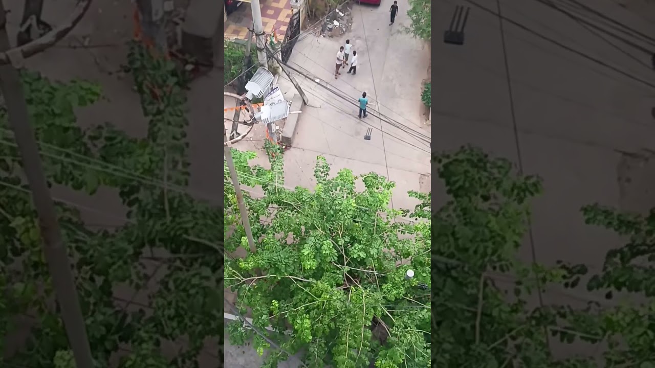 OMG 😱😱 be careful "Fallen Tree Branch Causes Power Line Sparks – April 2025 Incident" 😱😱😱😱