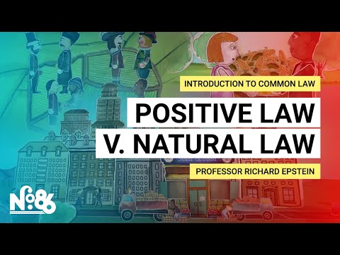 Positive Law v. Natural Law [Introduction to Common Law]