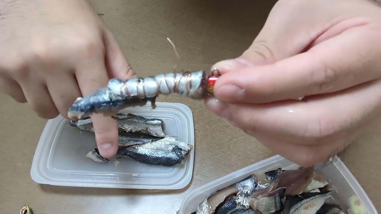 タチウオのアタリが嘘のように爆増する餌を最強コスパで自作する方法と使い方