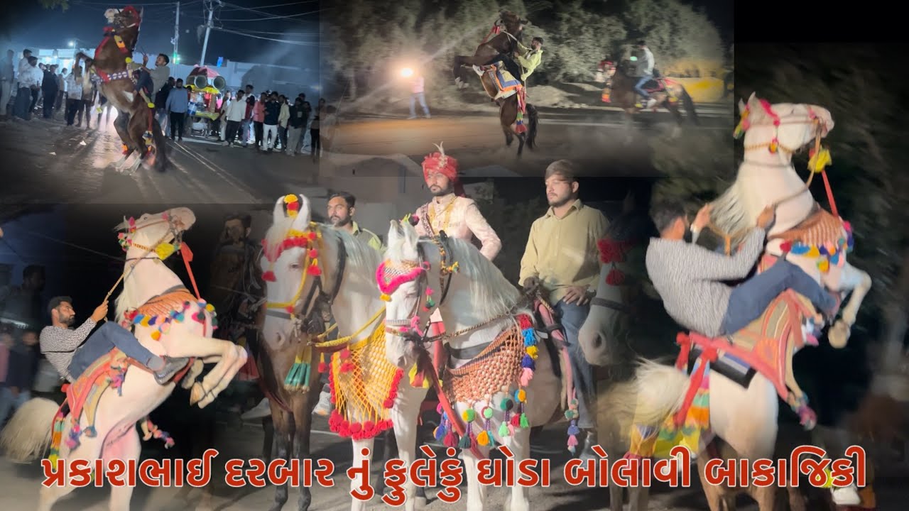 પ્રકાશભાઈ દરબાર નું ફુલેકું ઘોડા બોલાવી બાકાજિકી