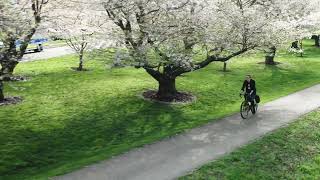 Countdown to OHIO: 9 Days! (Appalachian Beauty) | Ohio University