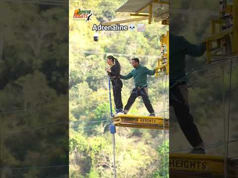 💀272ft high bungee jumping #bungeejumping #rishikesh #adventure #adrenalinerush #viral #shortsfeed