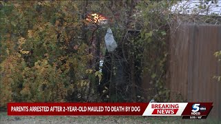 Oklahoma City parents arrested after toddler's fatal mauling by family dog