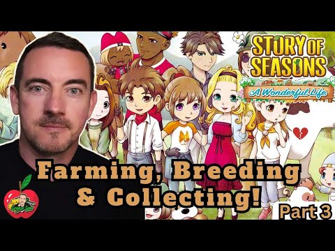 Story of Seasons: Farming, Breeding & Collecting! - YouTube
